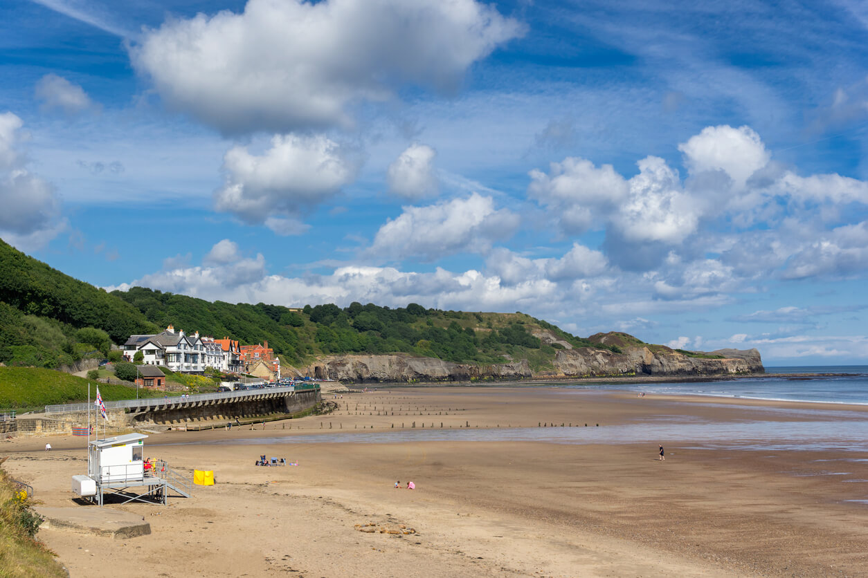 can you take dogs on sandsend beach